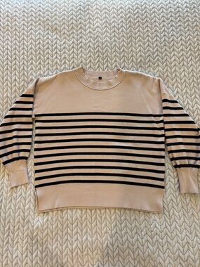 Striped Crewneck Sweater in Beige and Black